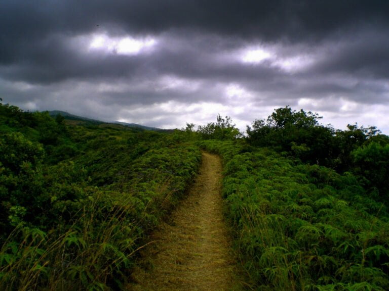 MS Xterra Maui 2012 – Roads to Maui