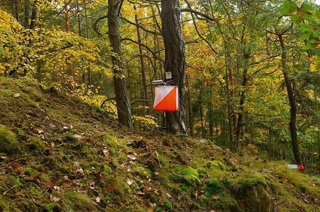 Bohemia – 5 Days orienteering