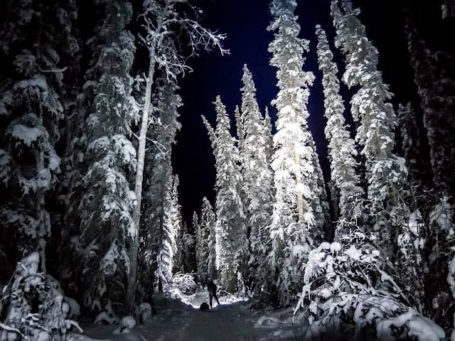 Iditarod Trail Invitational – Hej holá, Aljaška volá