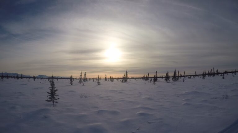 Iditarod Trail Invitational 350 mil – děj 7. – Aljašská míle